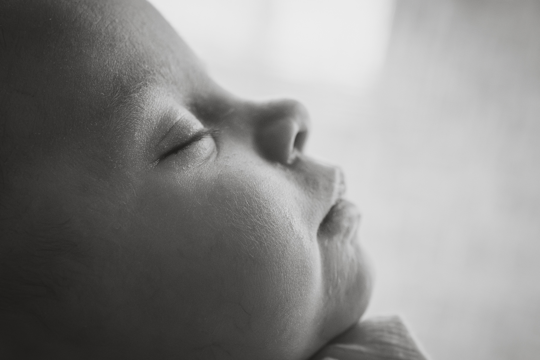 Portfolio gallery image