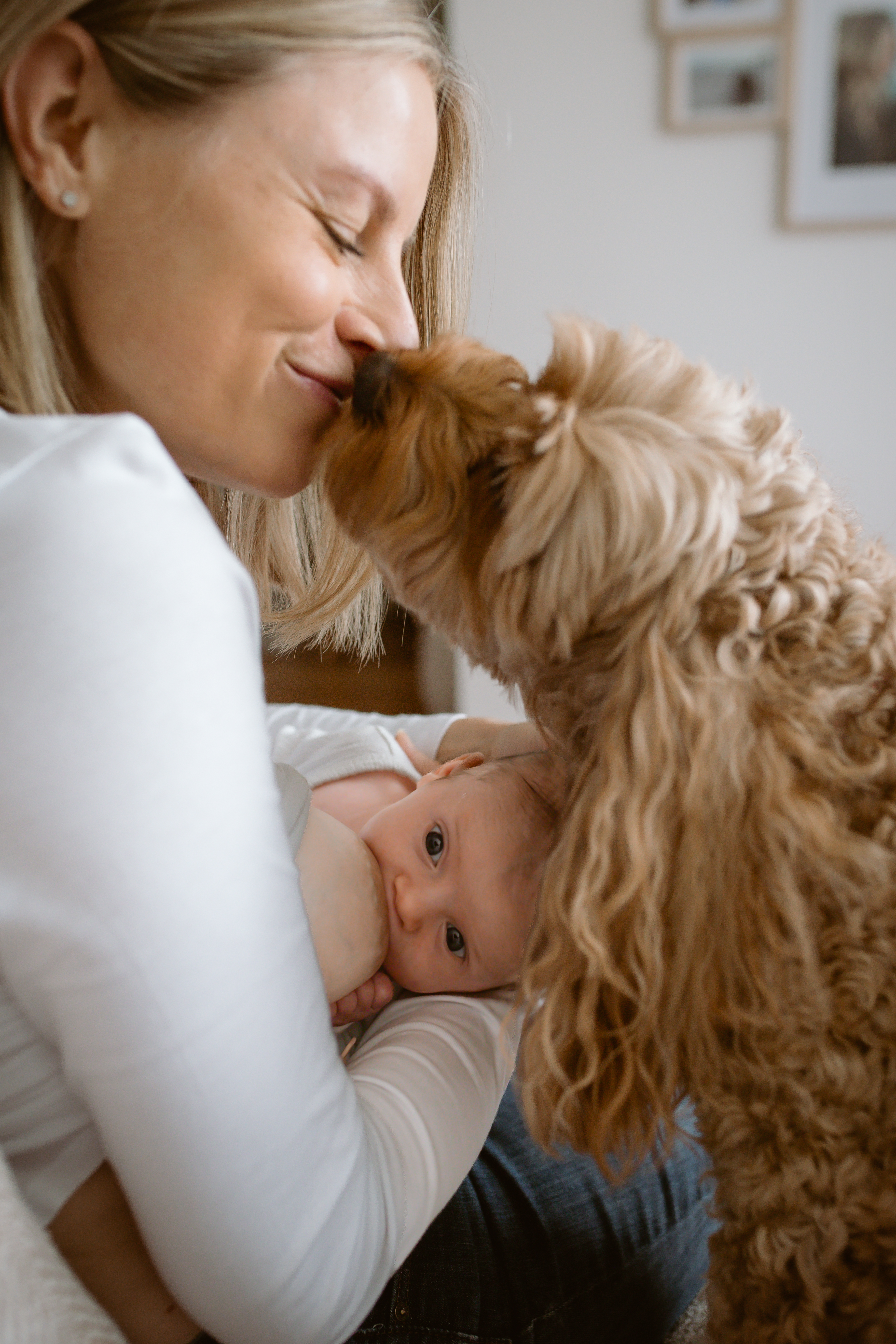 Portfolio gallery image